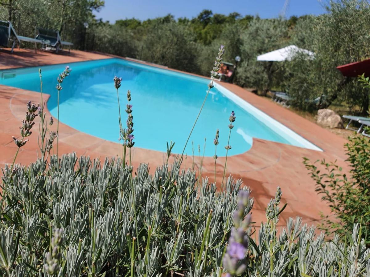 Agriturismo "Crocino In Chianti" กาโยเล อิน เคียนติ ภายนอก รูปภาพ
