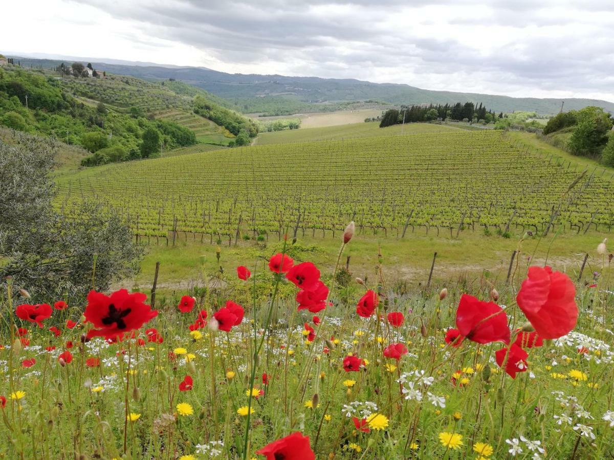Agriturismo "Crocino In Chianti" กาโยเล อิน เคียนติ ภายนอก รูปภาพ