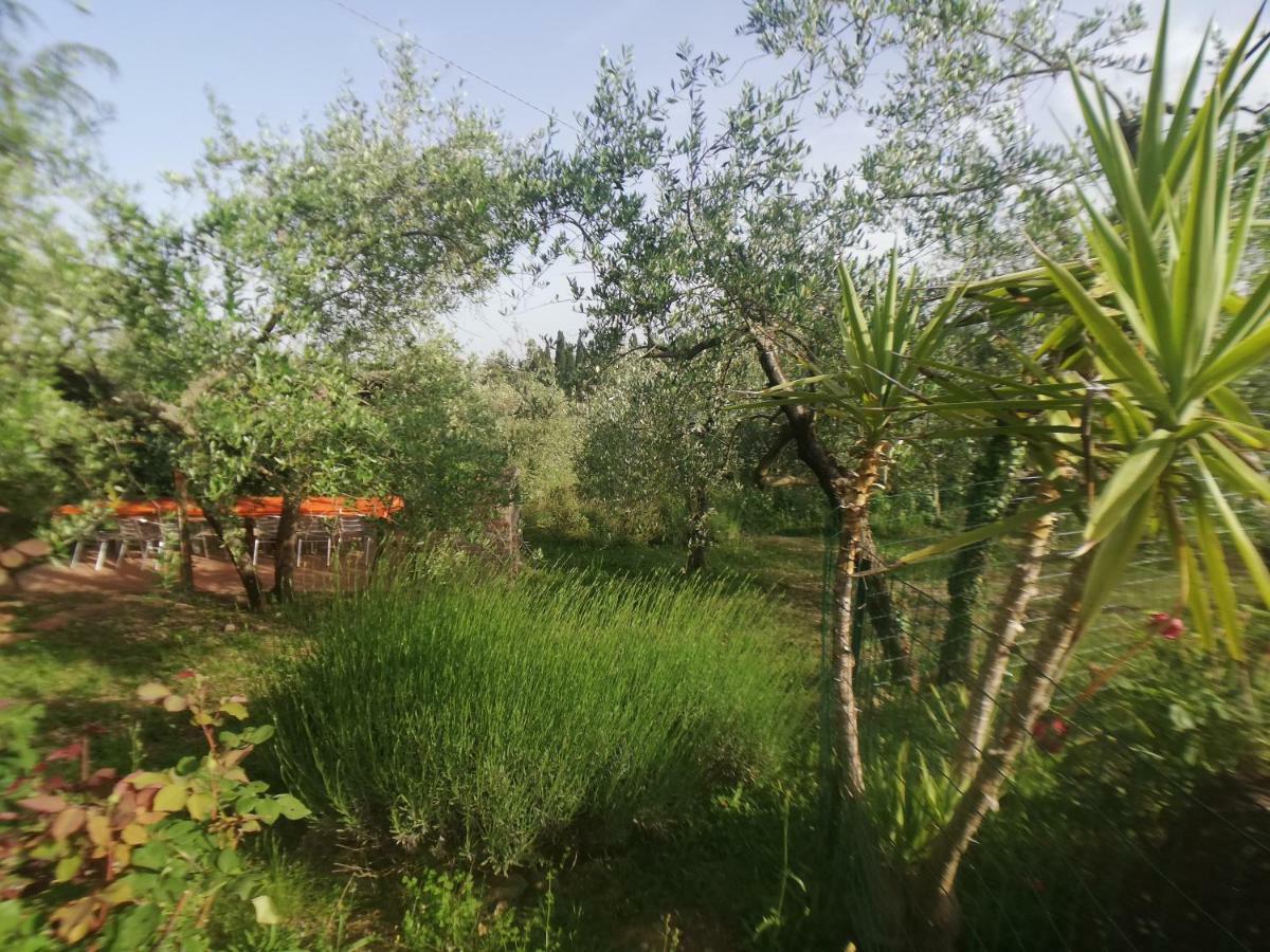 Agriturismo "Crocino In Chianti" กาโยเล อิน เคียนติ ภายนอก รูปภาพ